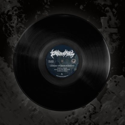 Chasm of Immurement LP (12" BLACK EDITION) - Image 2