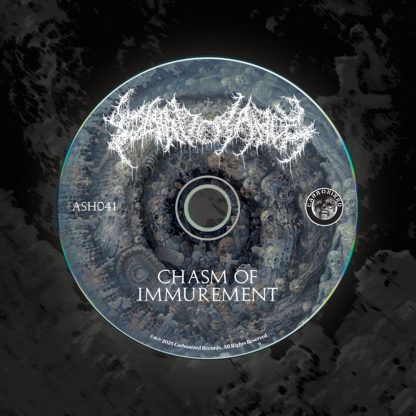 Chasm of Immurement LP (CD EDITION) - Image 2